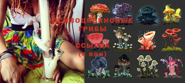 твердый Зеленокумск
