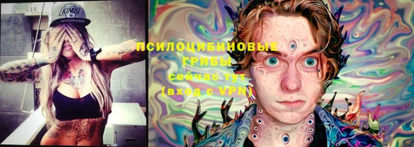 твердый Зеленокумск