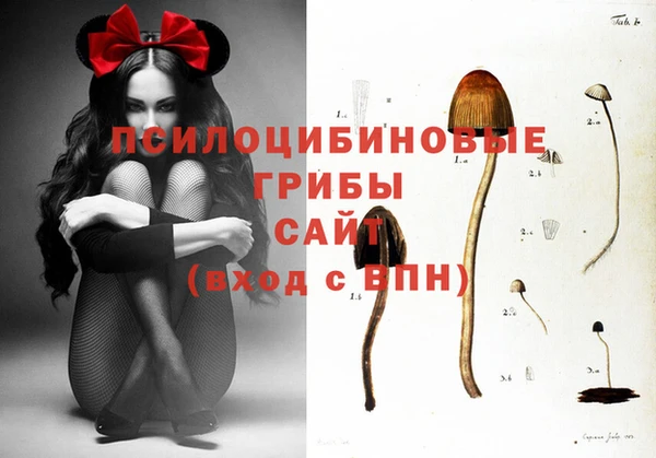твердый Зеленокумск